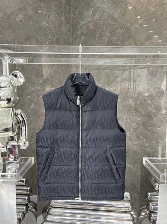 디올 패딩 조끼 (남성용)