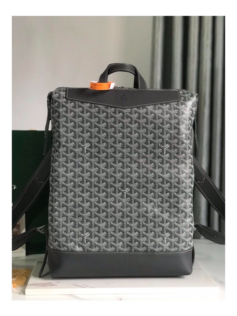 고야드 알팡 백팩